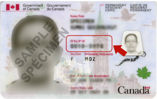 Where Is My Status In Canada Document Number